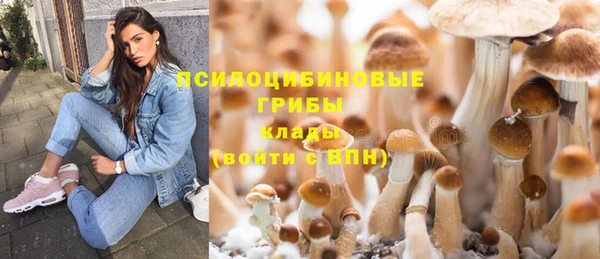 кокаин Белокуриха